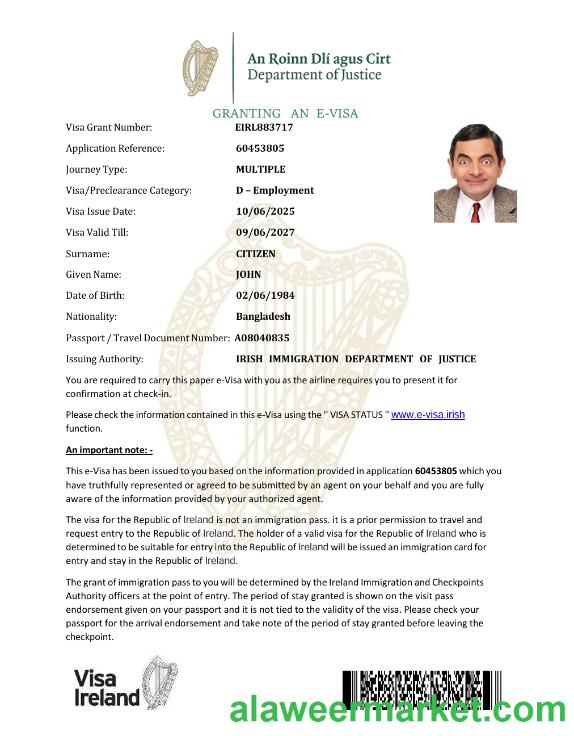 Ireland e-visa template in Word and PDF formats